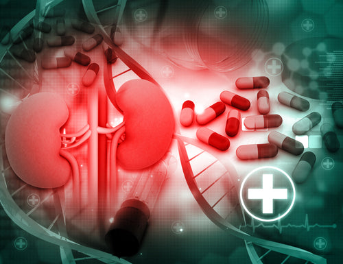 Course 4: Pharmacology in Dialysis
